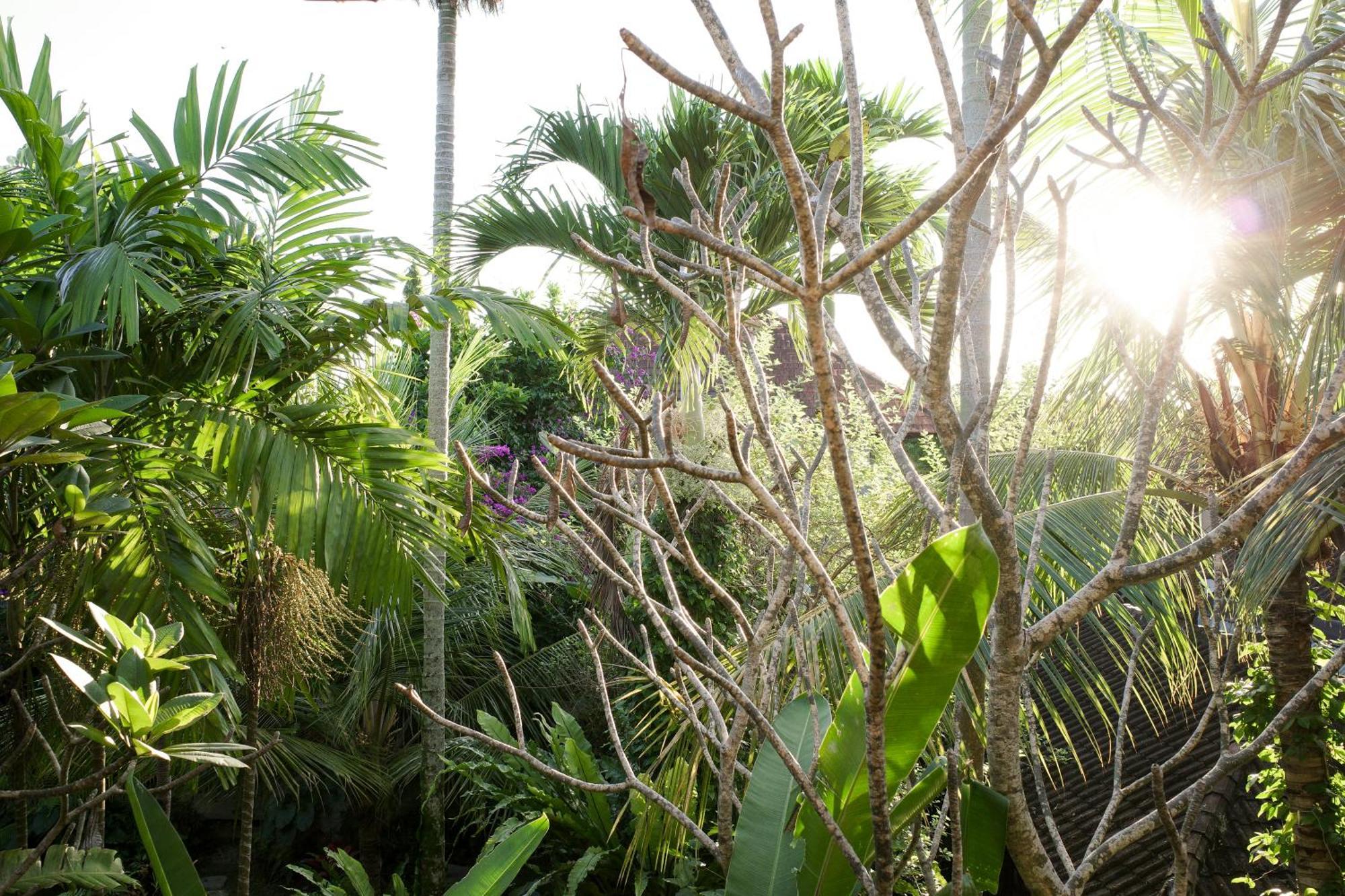 Casa de hóspedes Santra Putra At Karja Art Space Ubud