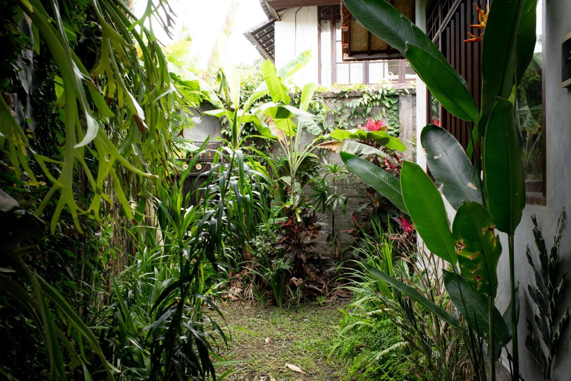 Santra Putra At Karja Art Space Casa de hóspedes Ubud