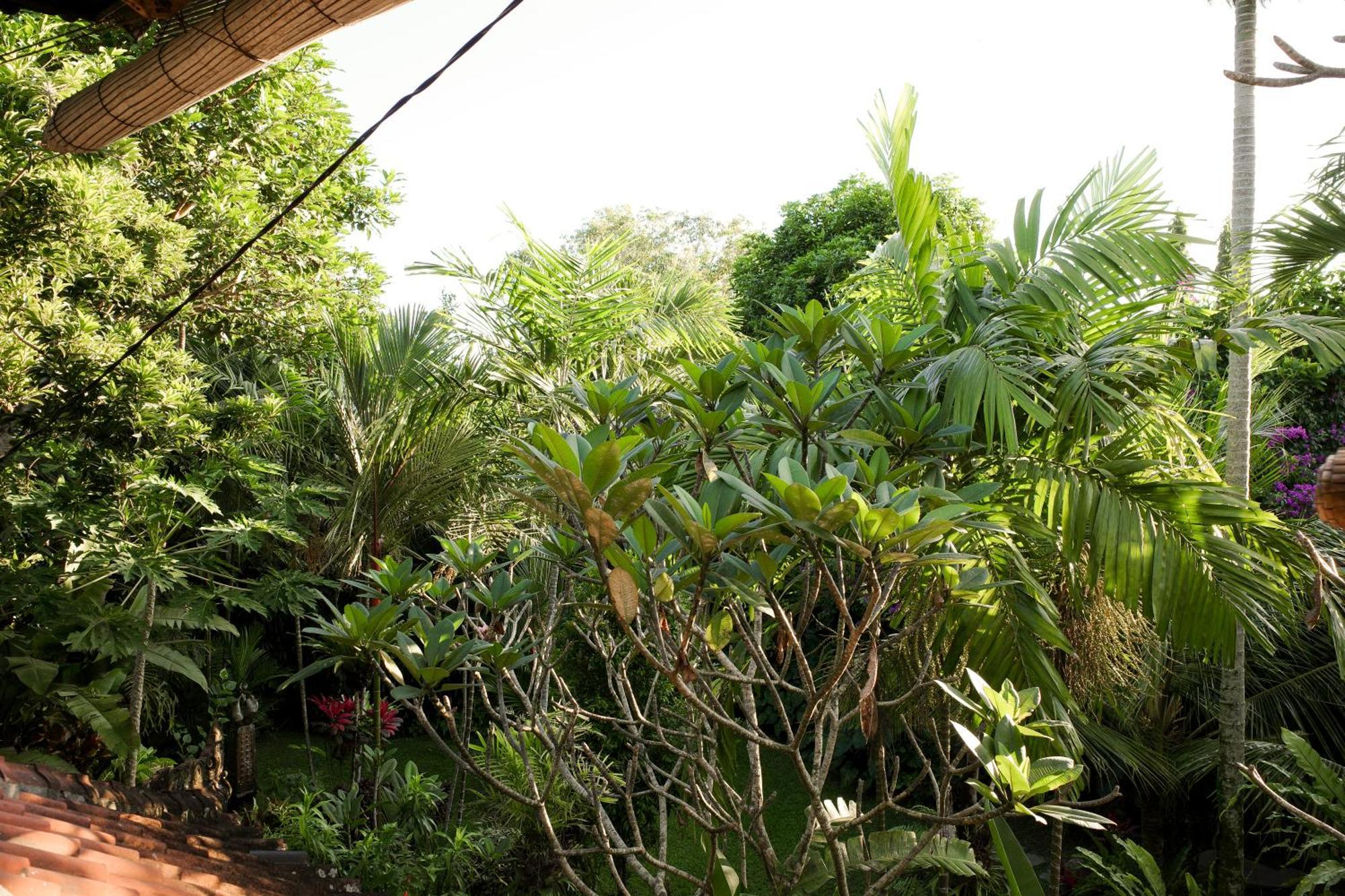 Maison d'hôtes Santra Putra At Karja Art Space Ubud